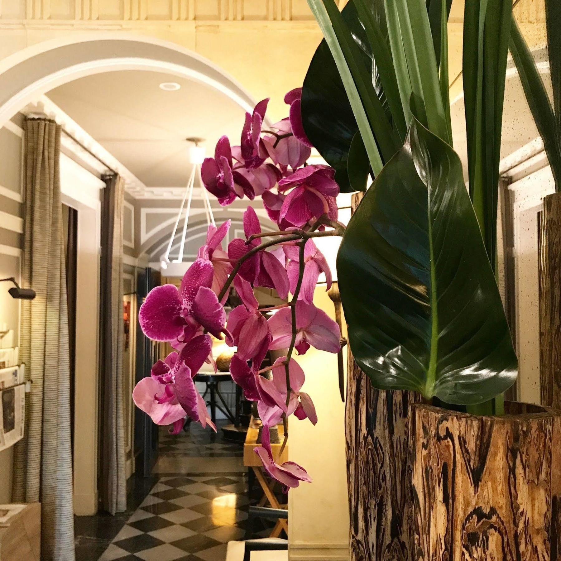 Hotel Recamier Париж Экстерьер фото
